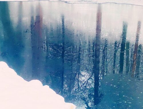 Autenticita lieči: Prečo je pravdivosť cestou k uzdraveniu a vnútornej sile.